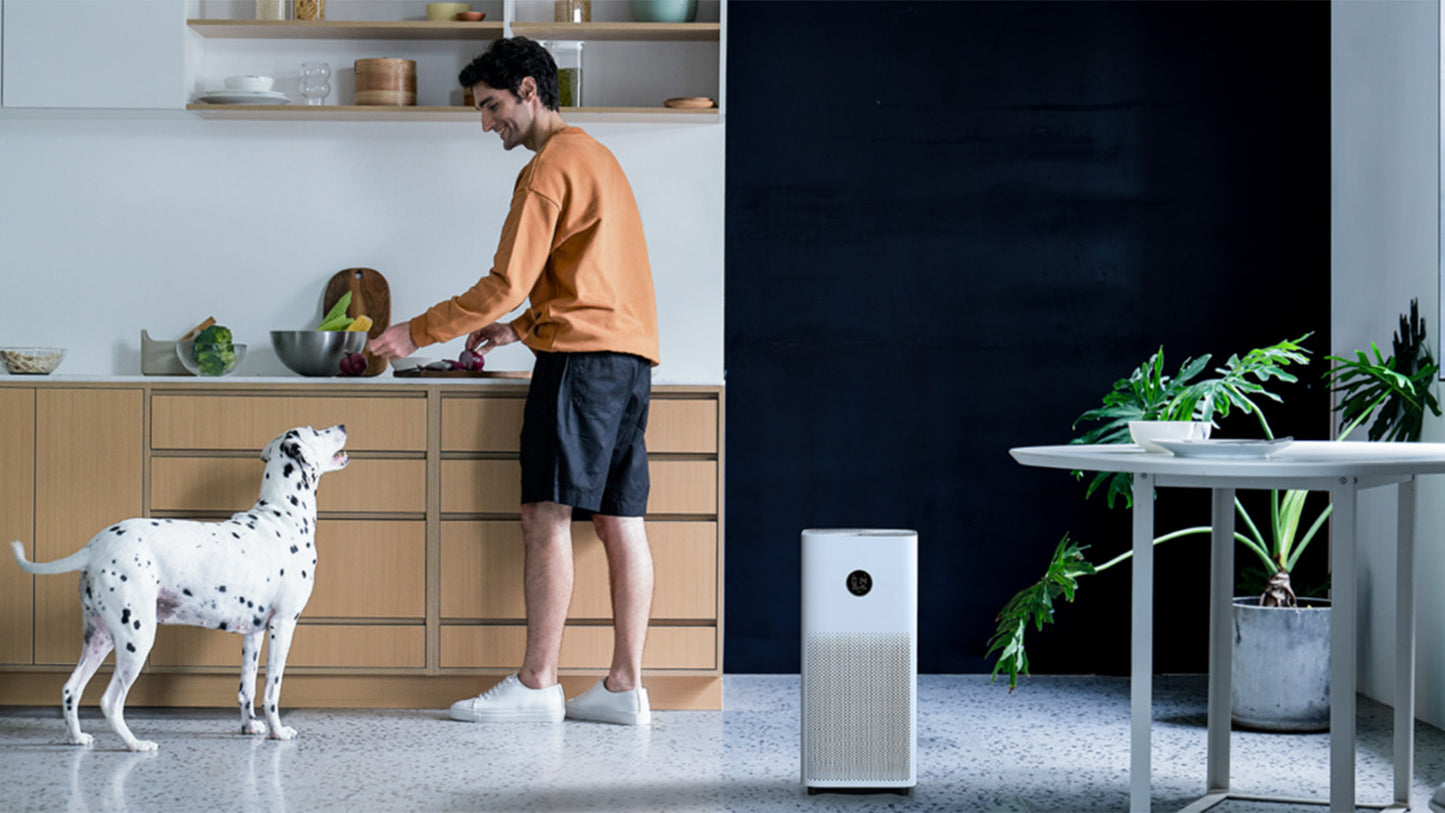 Xiaomi 小米 空氣淨化器 4 BHR5101EN