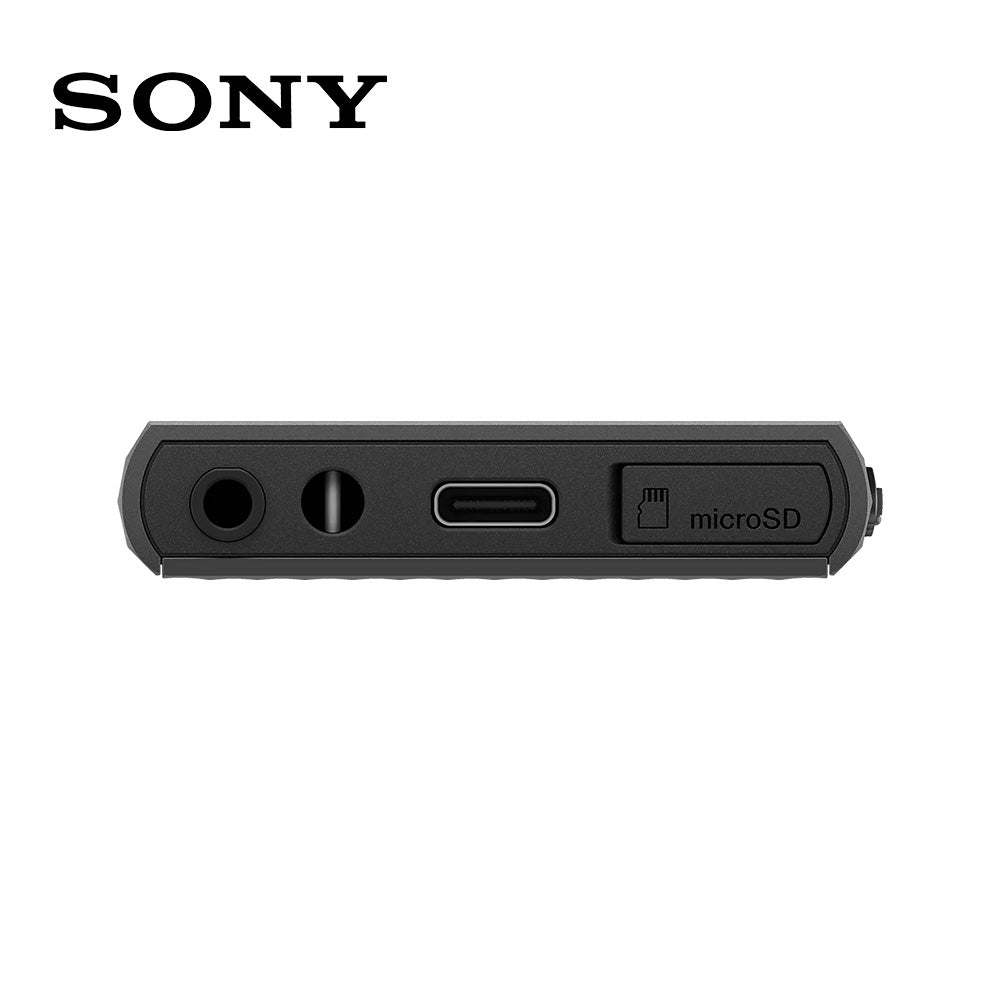 SONY NW-A306 可攜式音樂播放器