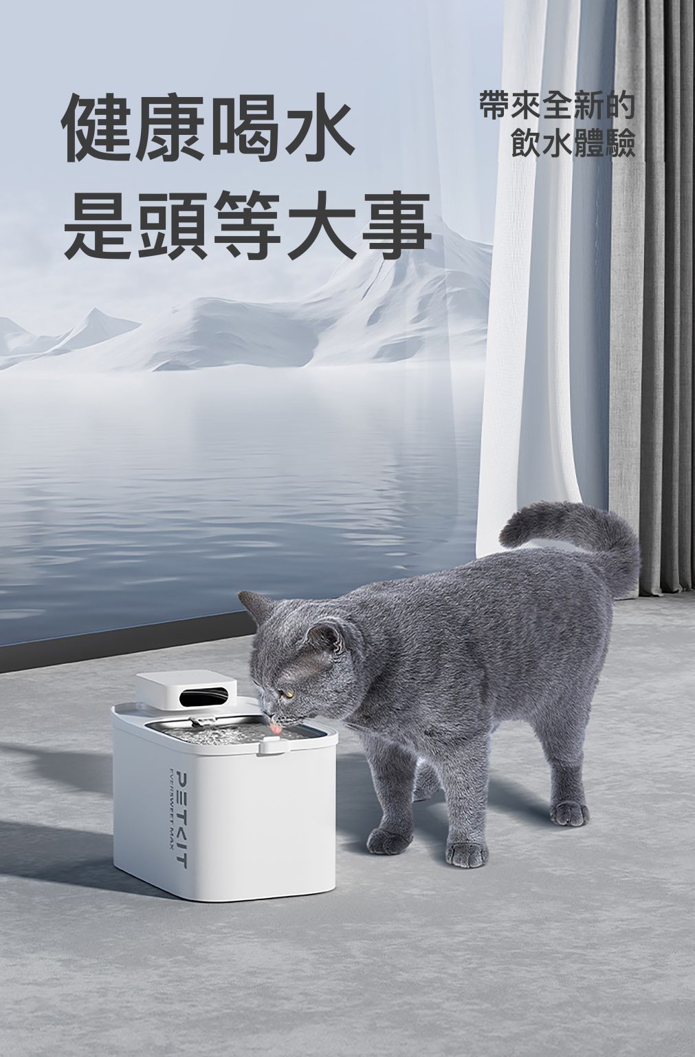 Petkit Eversweet Max 無線智能飲水機