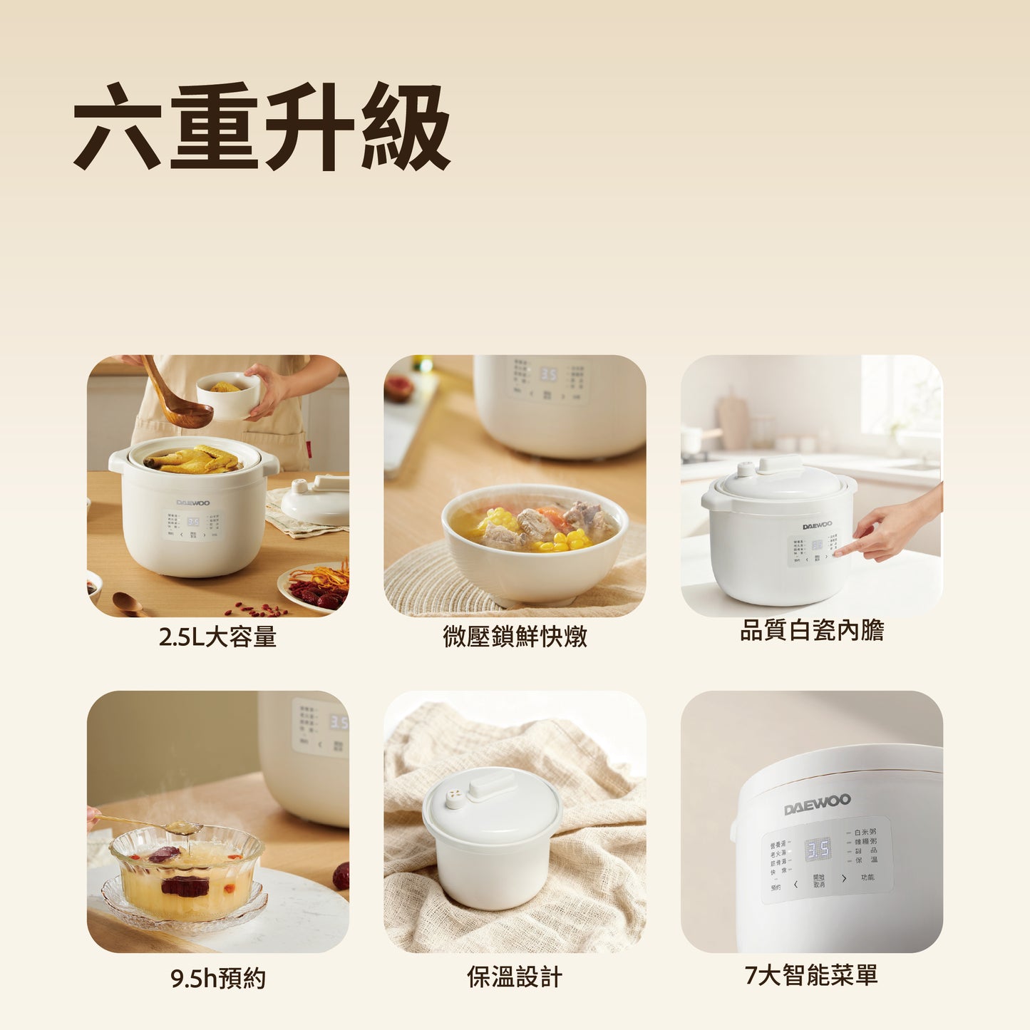 DAEWOO 大宇 多功能電燉煲 DY-DZ08