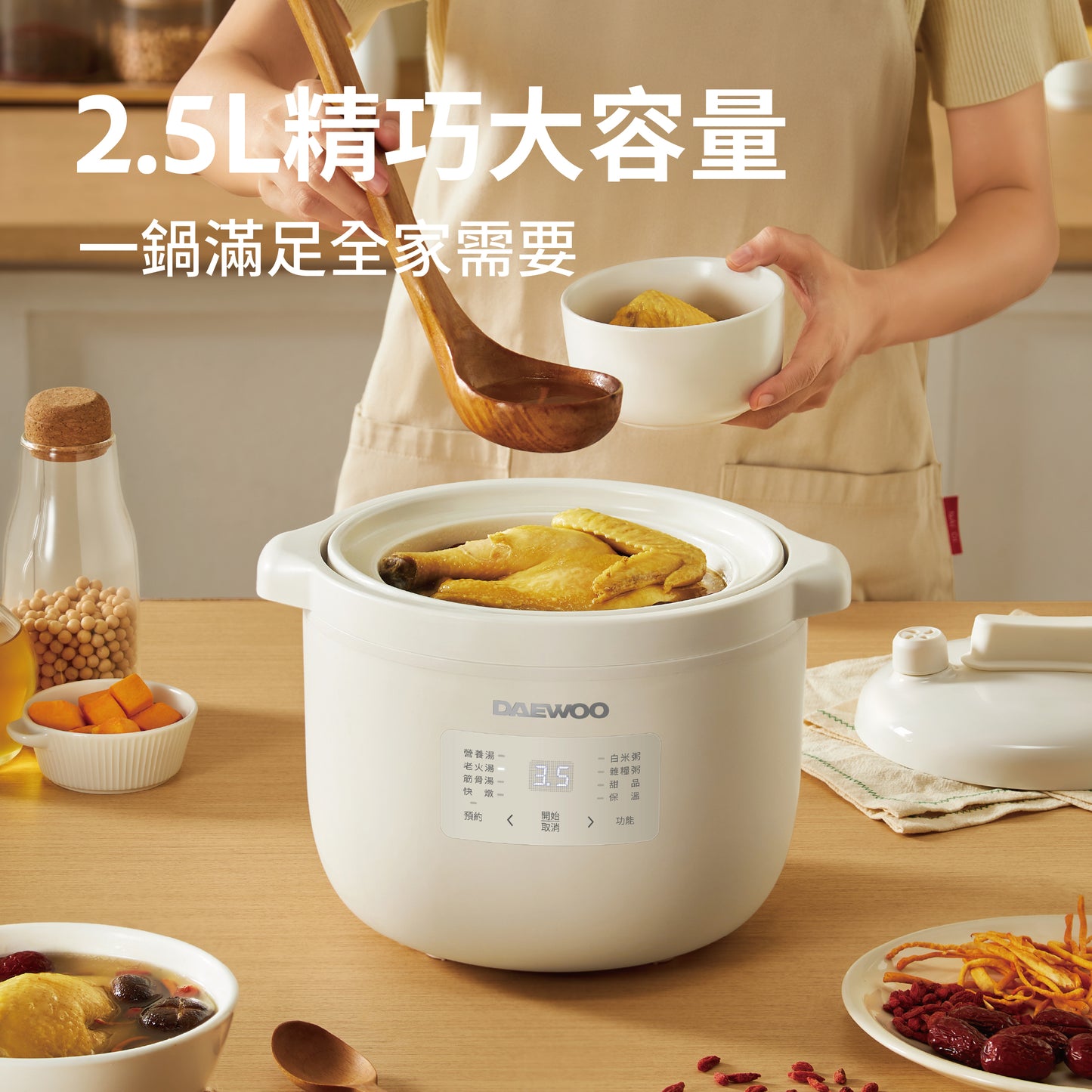 DAEWOO 大宇 多功能電燉煲 DY-DZ08