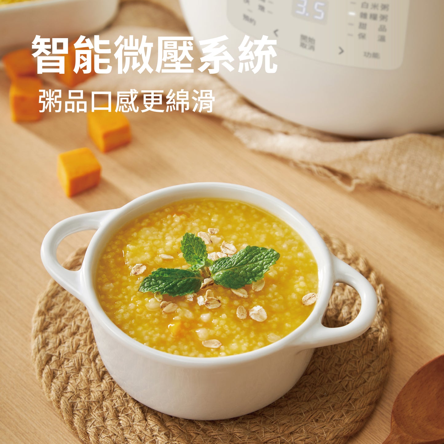 DAEWOO 大宇 多功能電燉煲 DY-DZ08